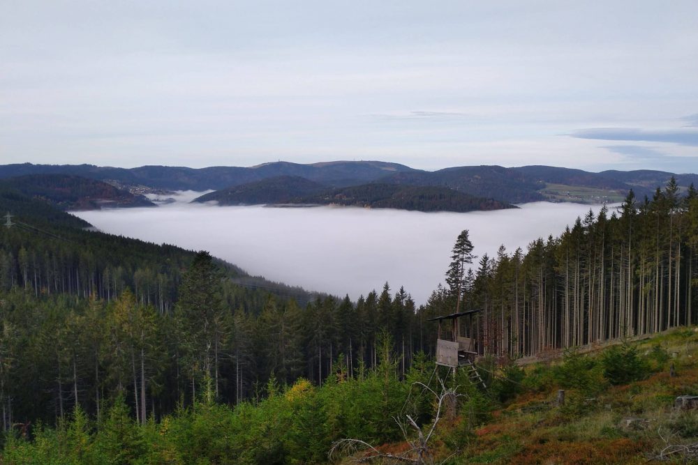 Hochsitz mit Blick auf den Hochschwarzwald