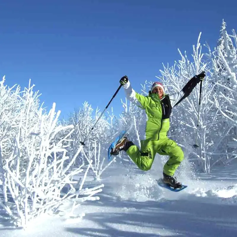 Frau auf Schneeschuhen vor einer Winterlandschaft